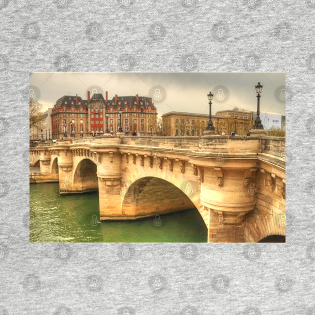 Pont Neuf & a beautiful Paris building by Michaelm43